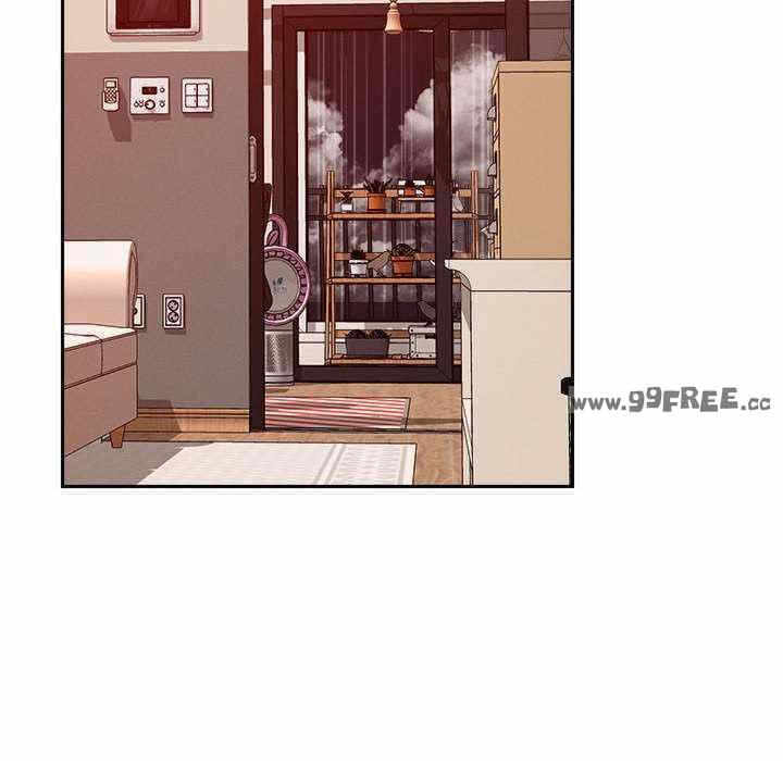 第53张