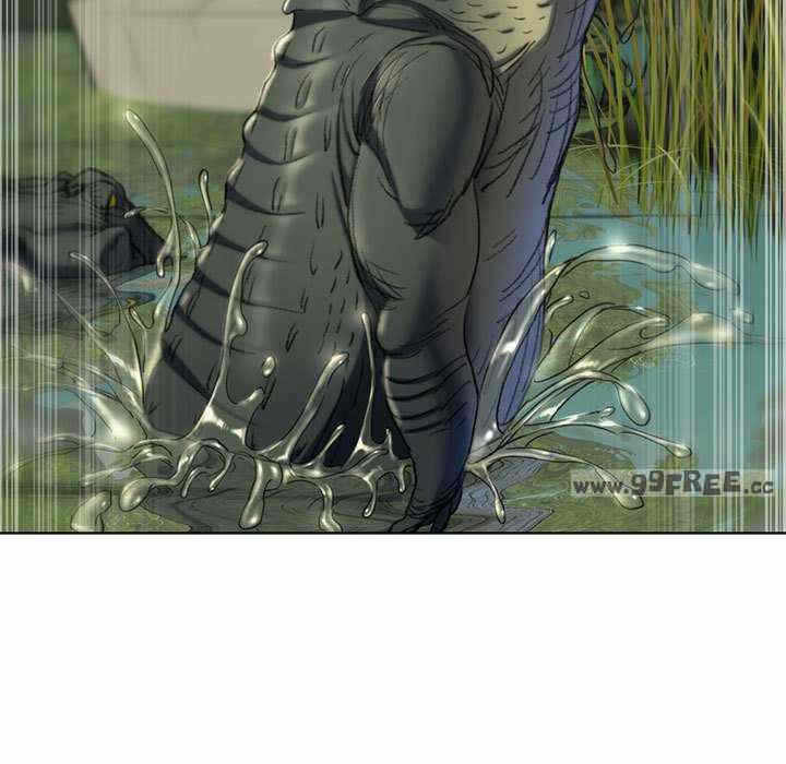 第117张