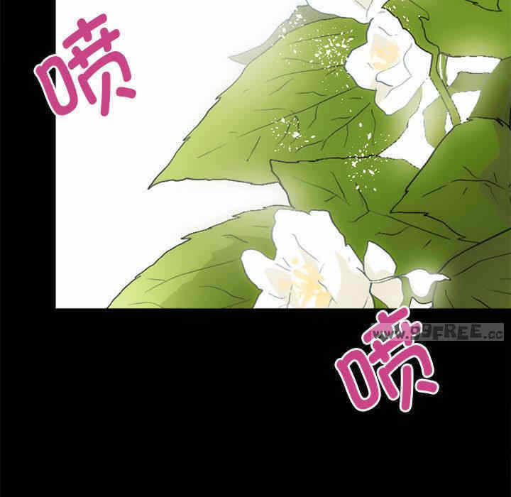 第81张