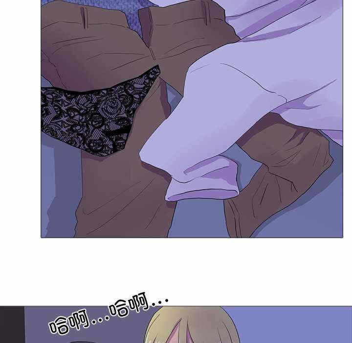 第81张