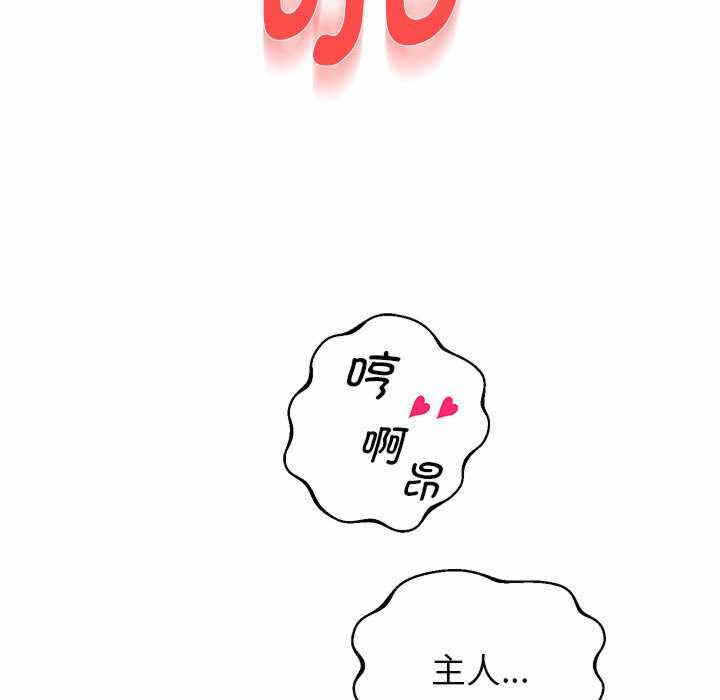 第141张
