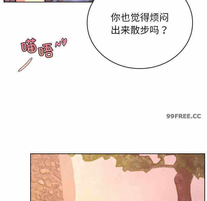 第8张
