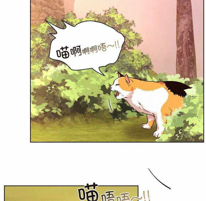 第11张