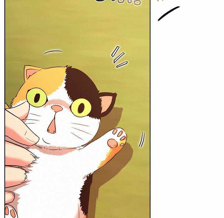 第14张