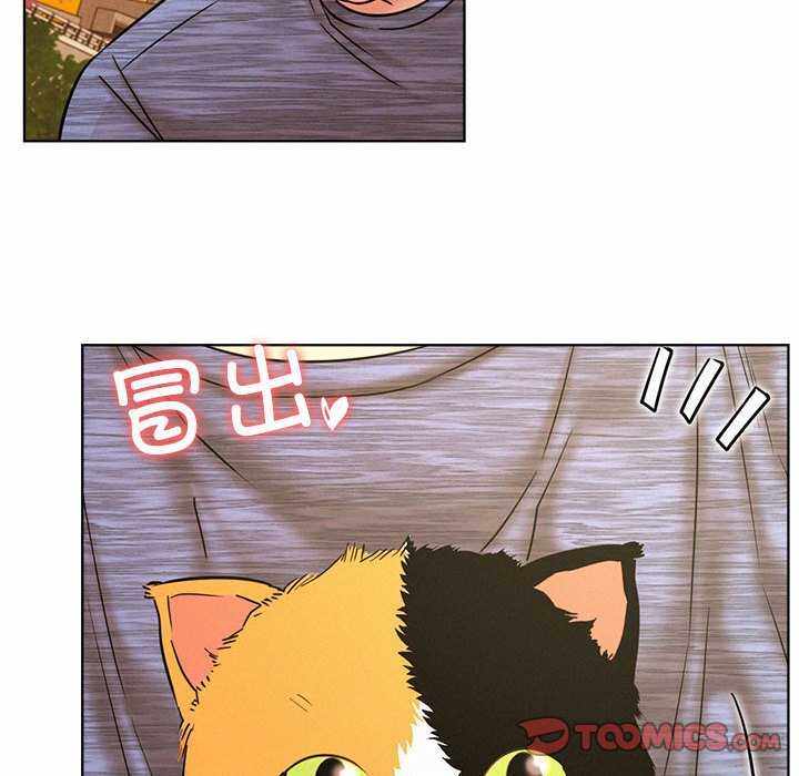 第77张