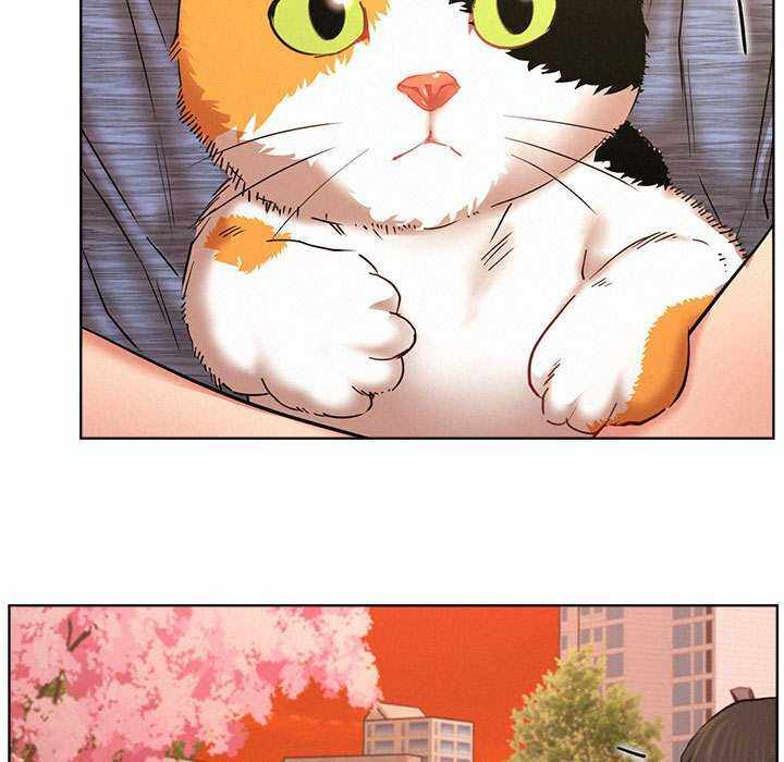 第79张