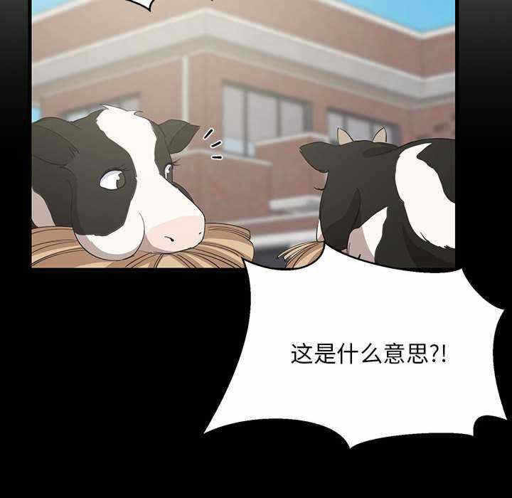 第138张