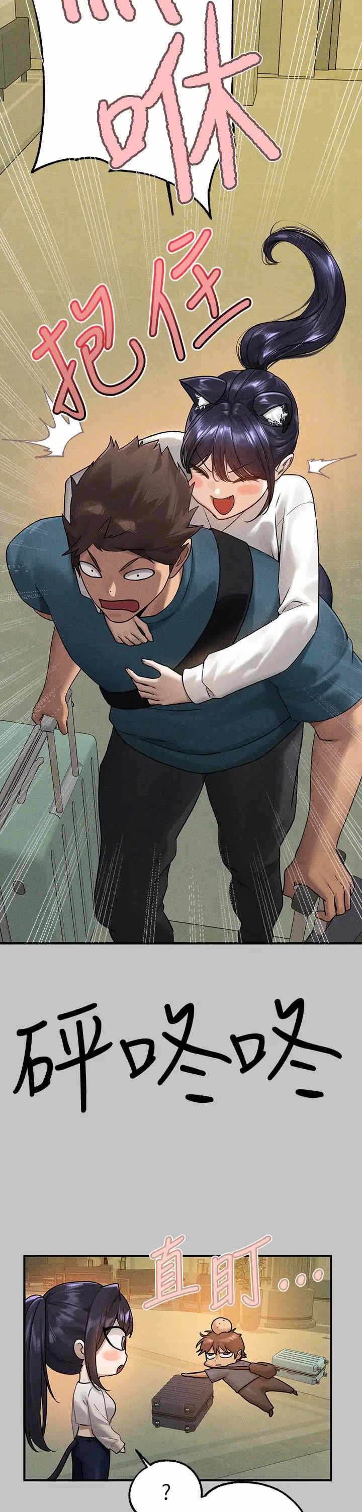 第9张