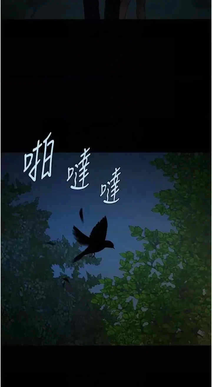 第31张