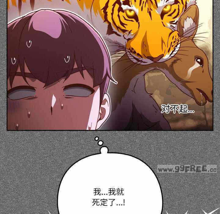 第17张