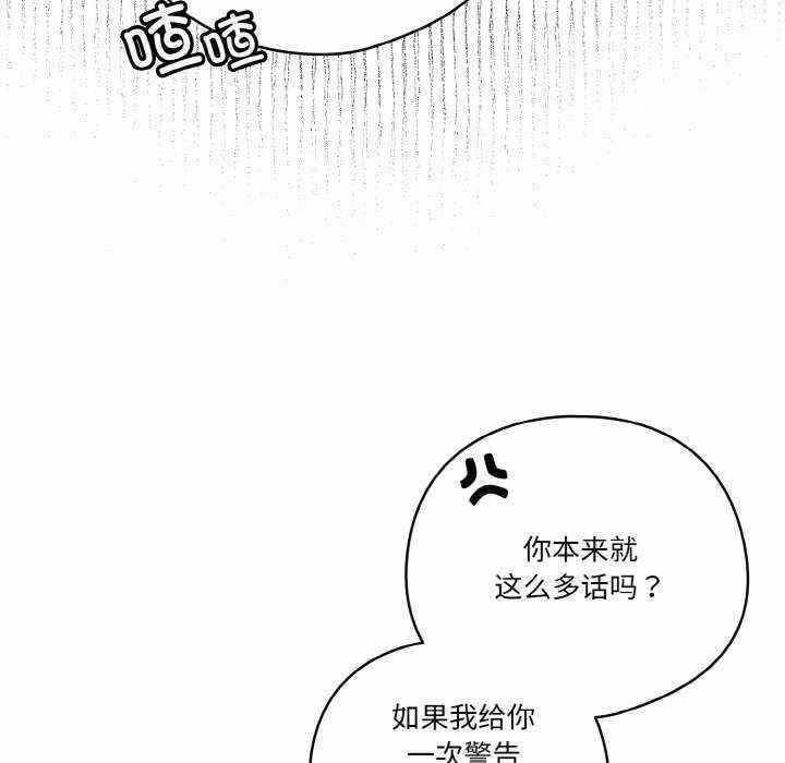 第41张