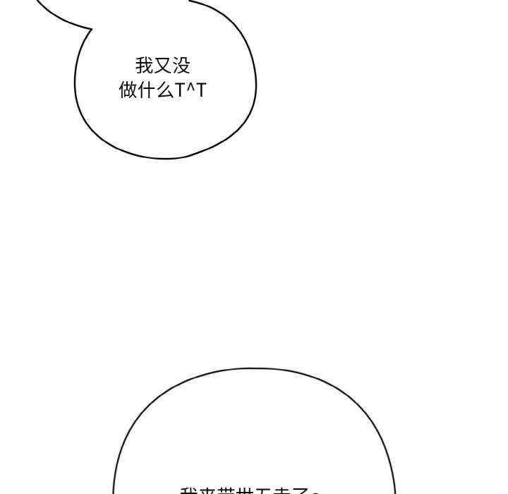 第46张