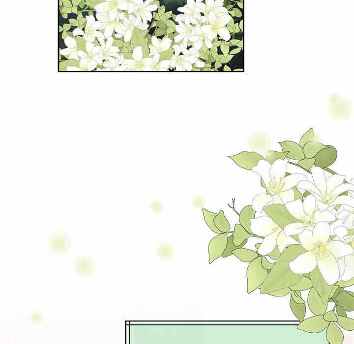 第151张