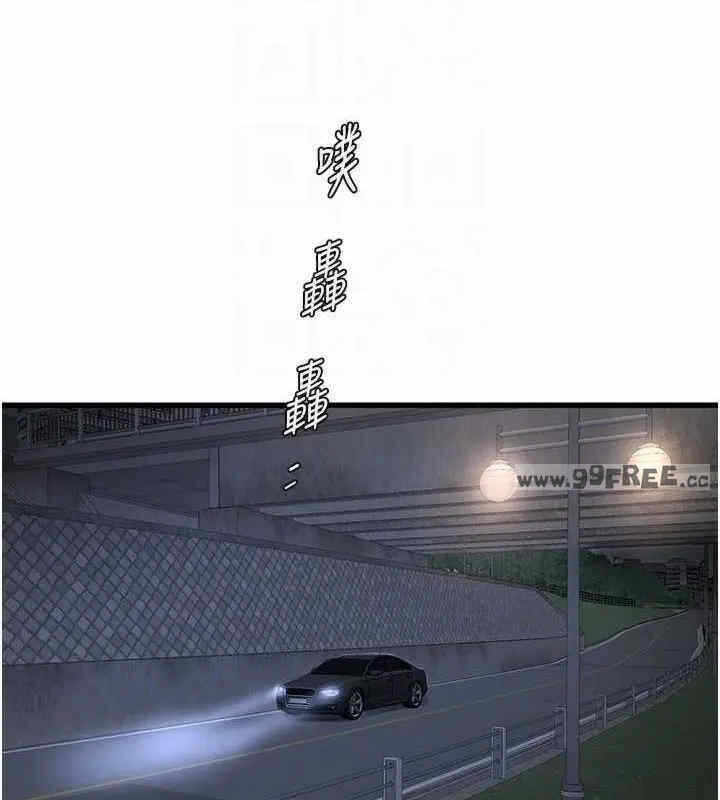 第81张