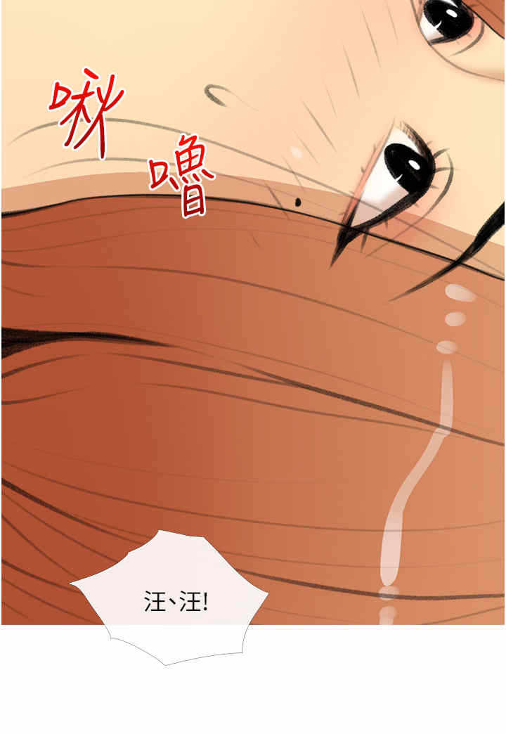 第4张