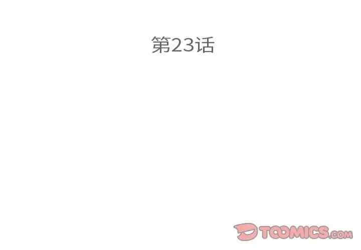 第5张