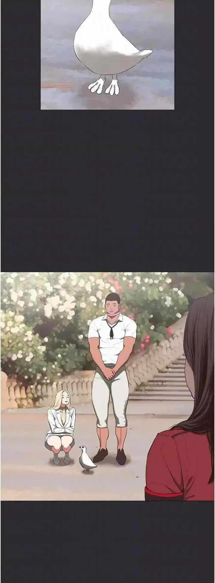 第30张