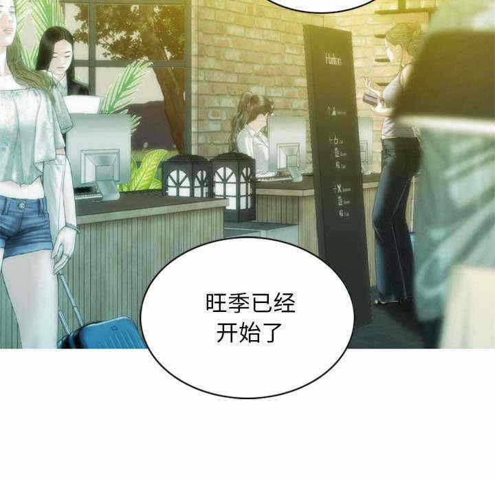 第43张