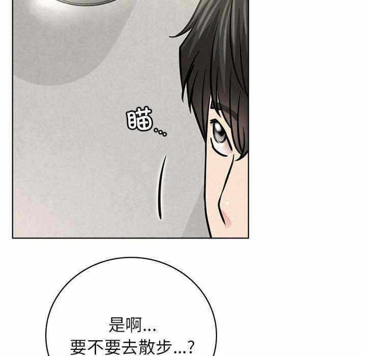 第148张