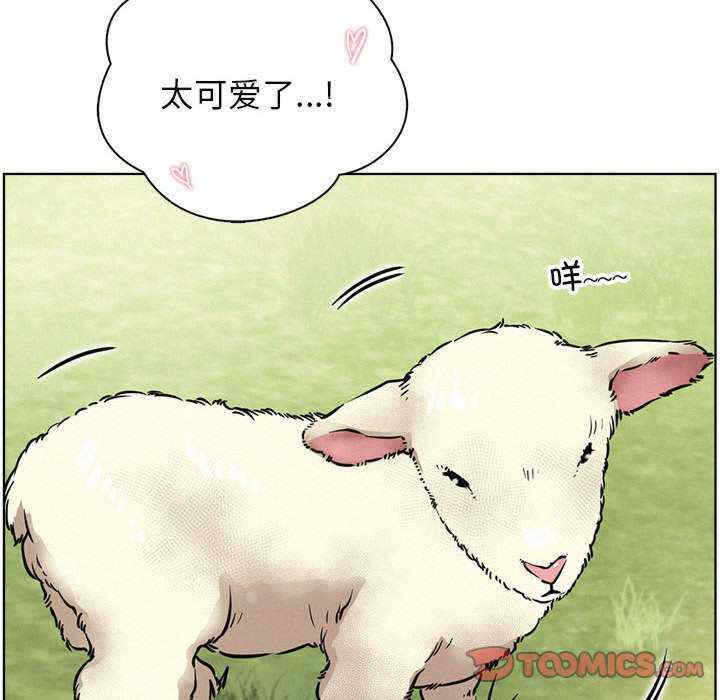 第33张