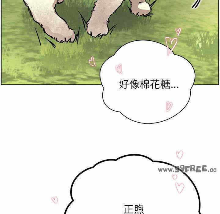 第35张