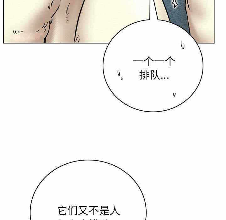 第59张