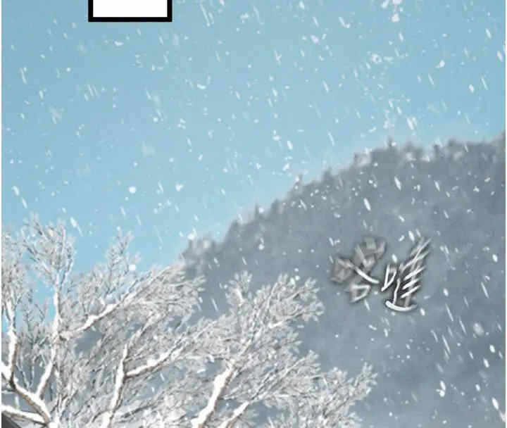 第55张
