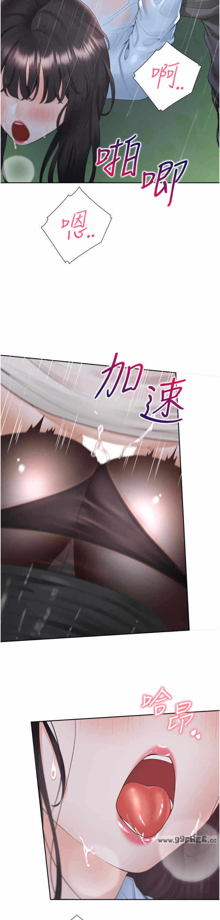 第17张