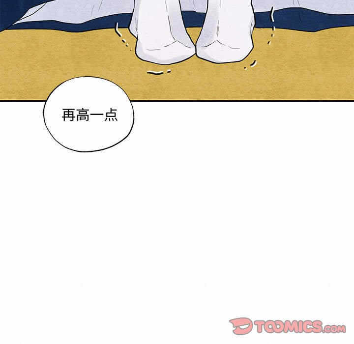 第44张