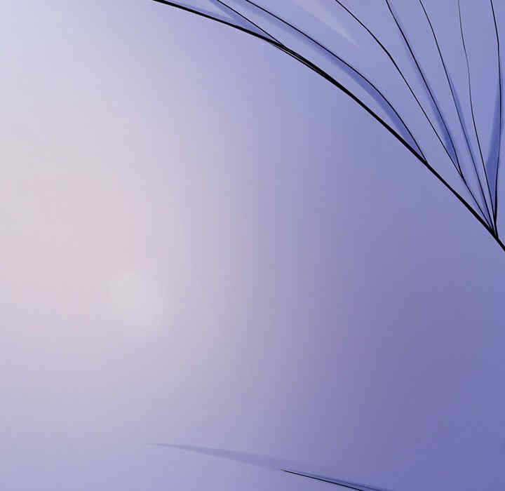 第17张
