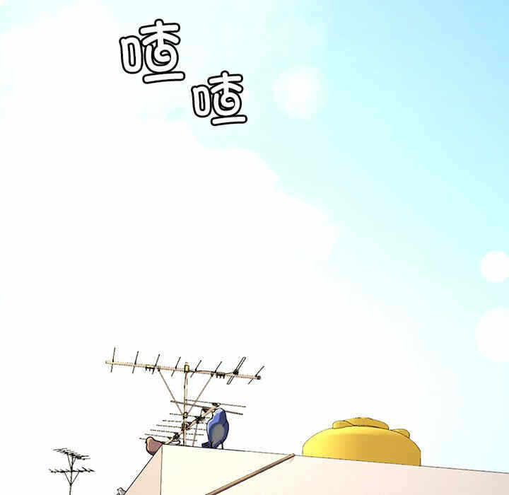 第43张