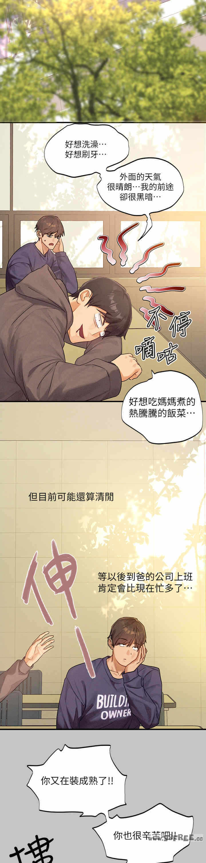 第13张