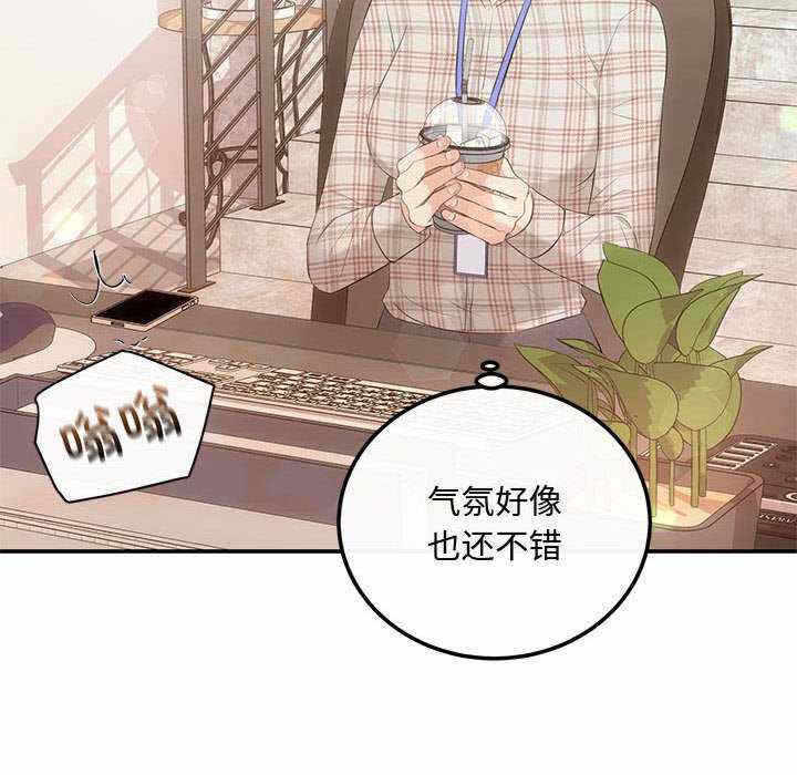 第146张