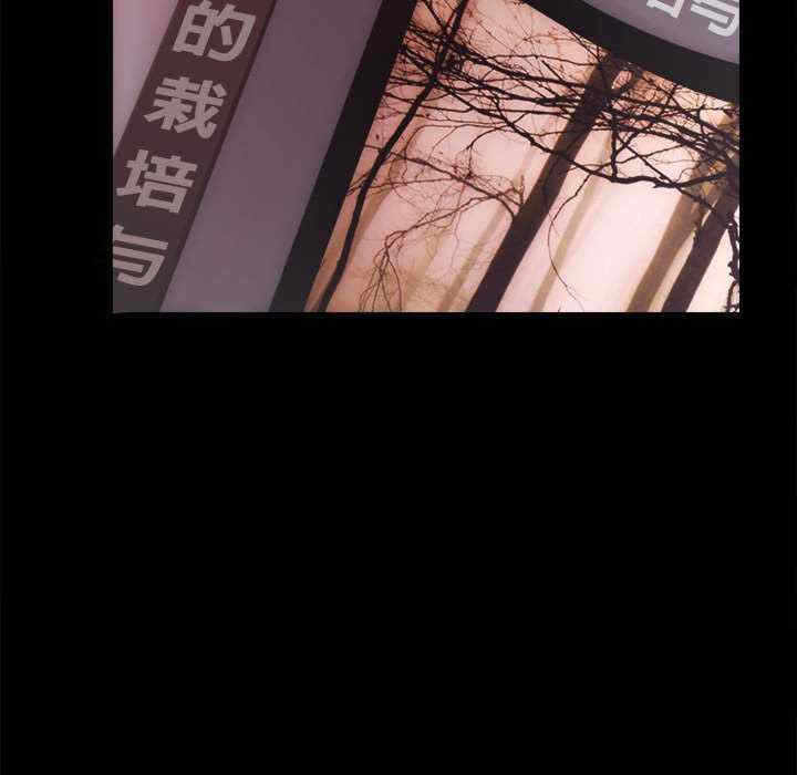 第3张