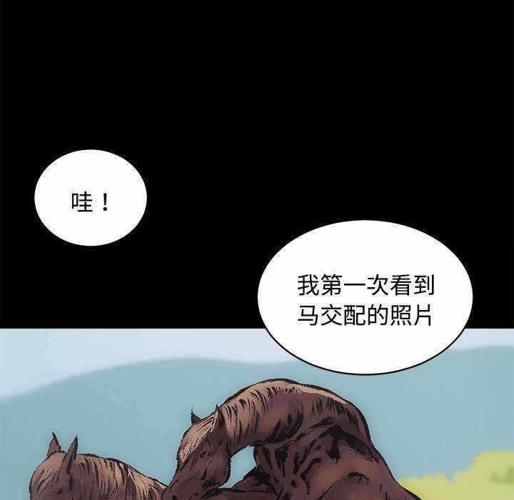 第76张