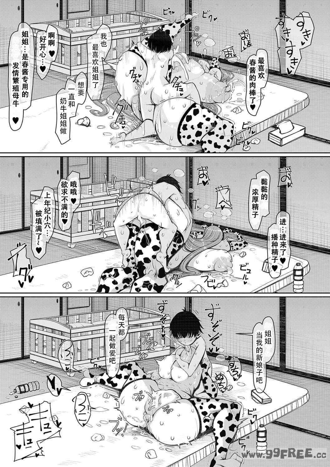 13.jpg