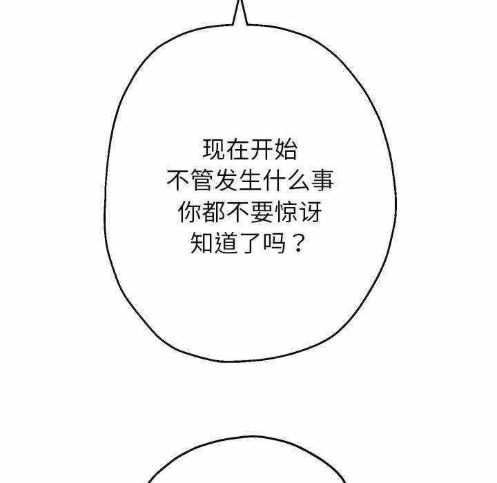 第80张