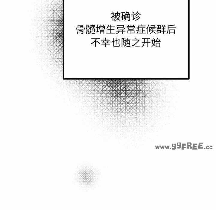 第58张