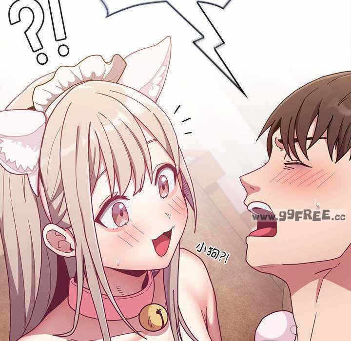 第43张