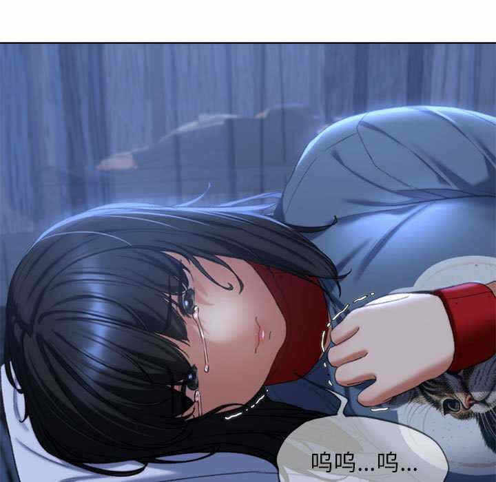 第6张