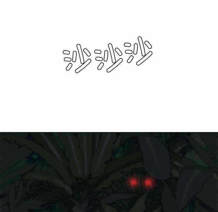 第45张