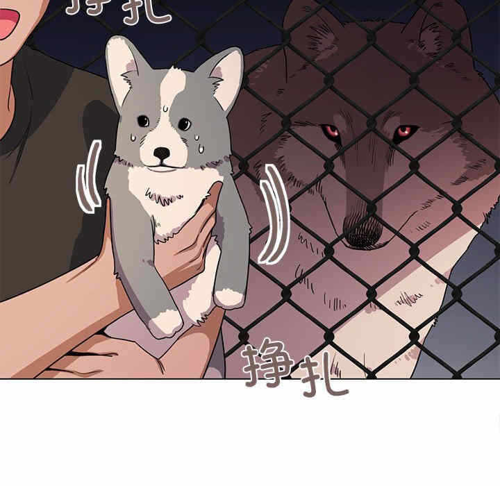 第222张