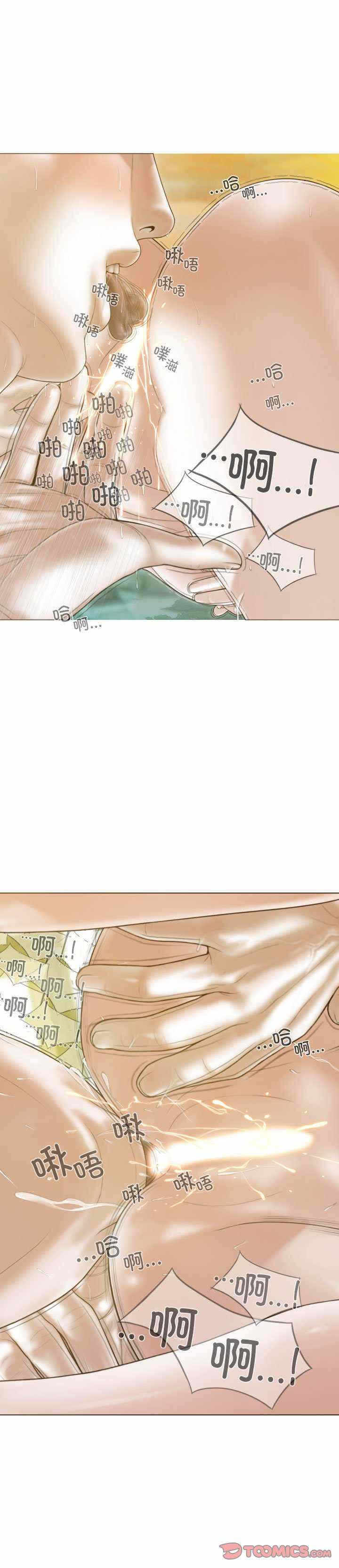 第43张