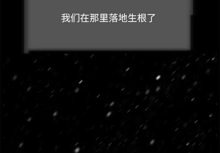 第6张
