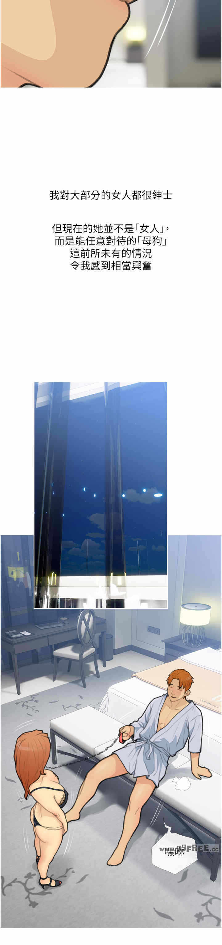 第31张