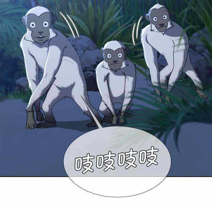 第63张