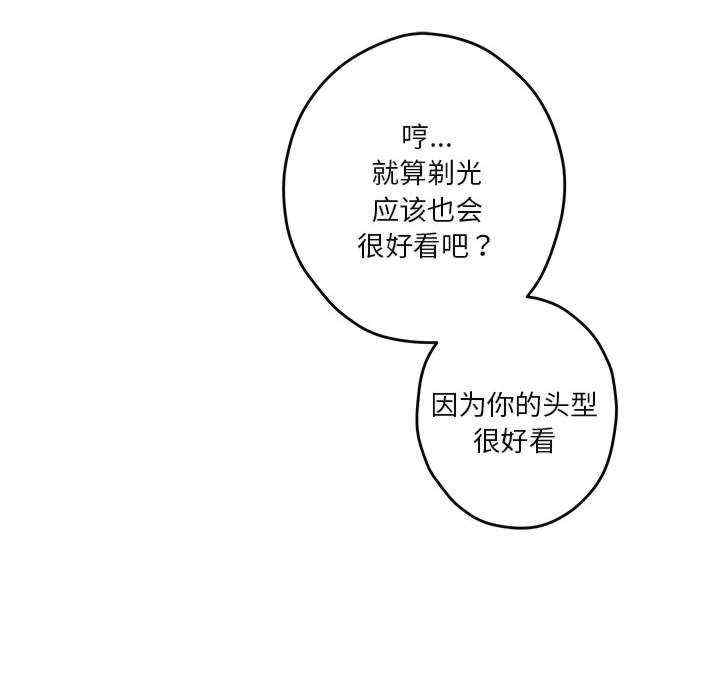 第95张