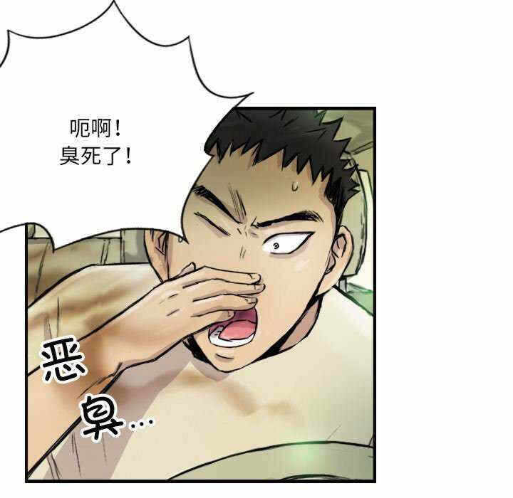 第9张