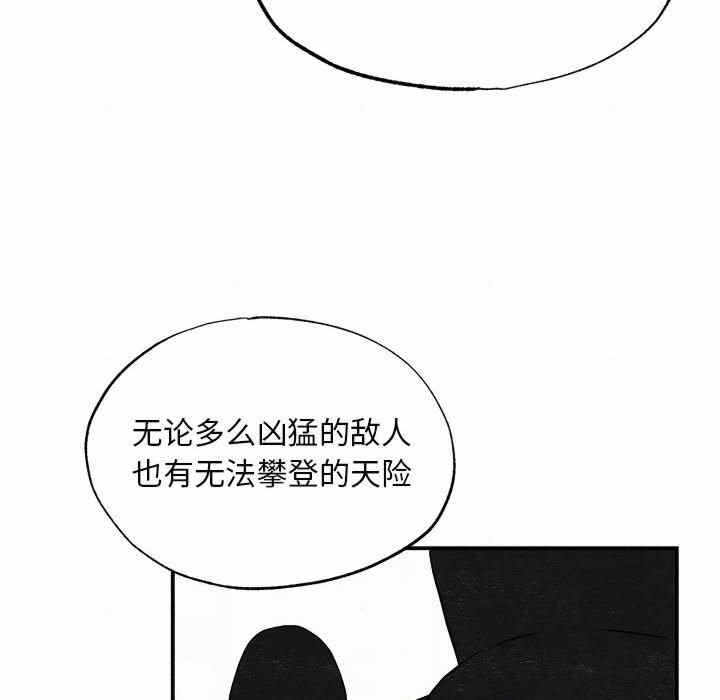 第48张