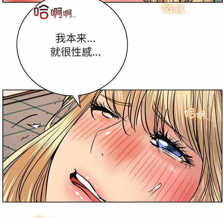 第3张